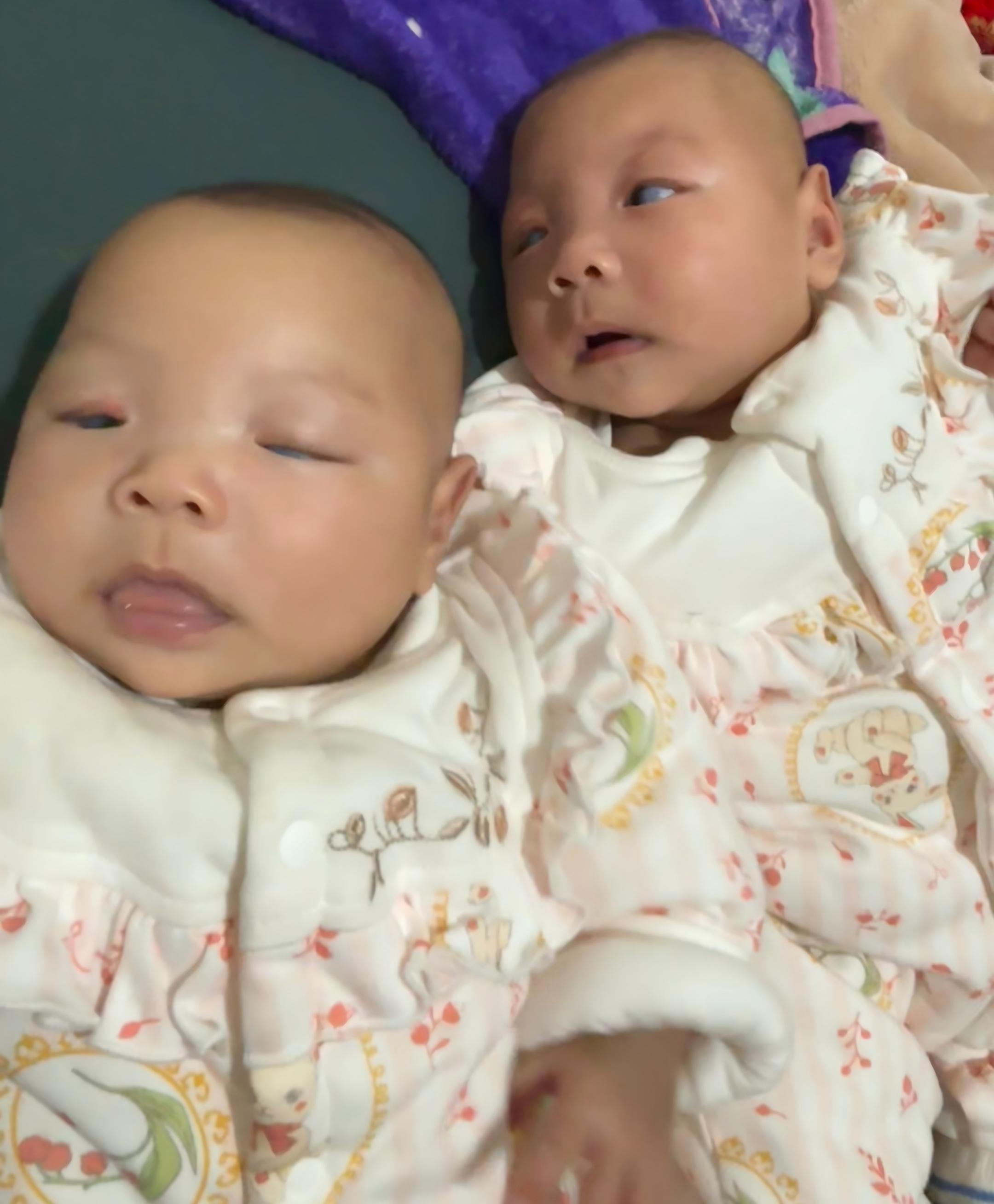 ���Ľ������ؼ�����������˫��̥ŮӤ�ġ�����֮·��